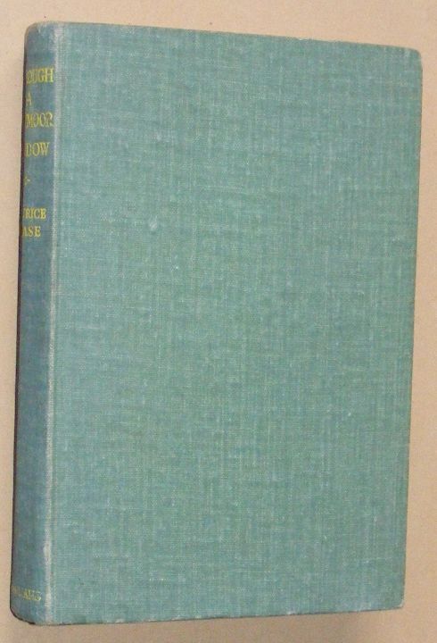 Through a Dartmoor Window