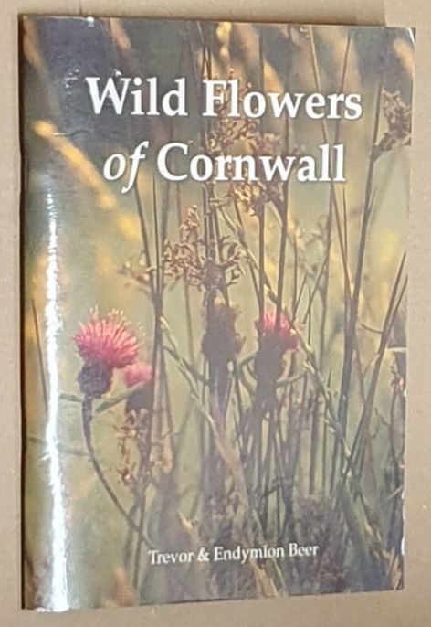 Wild Flowers of Cornwall