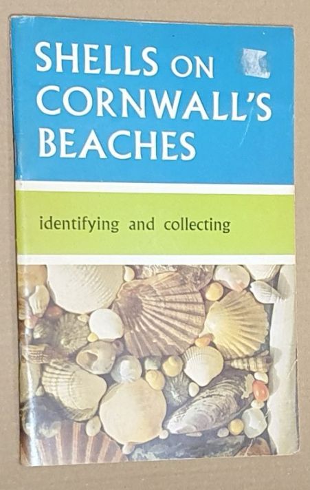 Sea-shells on Cornwall's beaches