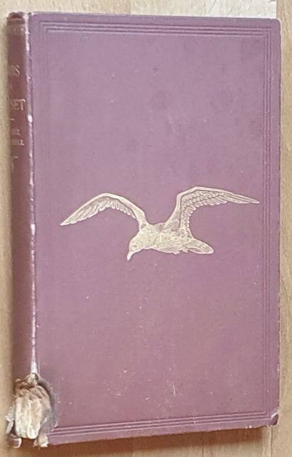 The birds of Dorsetshire : a contribution to the natural history of the county