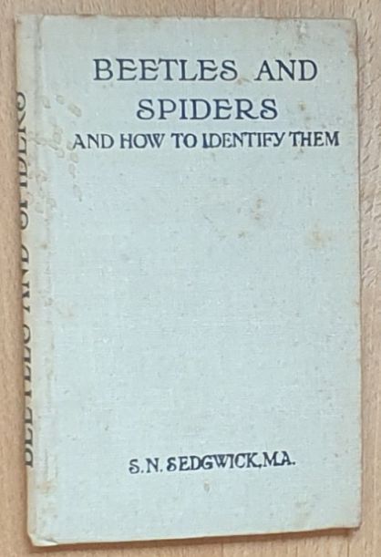 Common British Beetles and Spiders and how to identify them (How to Identify Series)