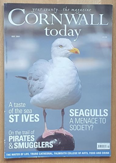 Cornwall Today July 2001