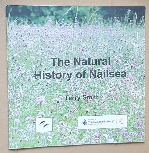 The Natural History of Nailsea