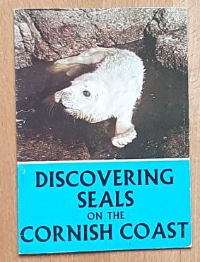 Discovering Seals on the Cornish Coast