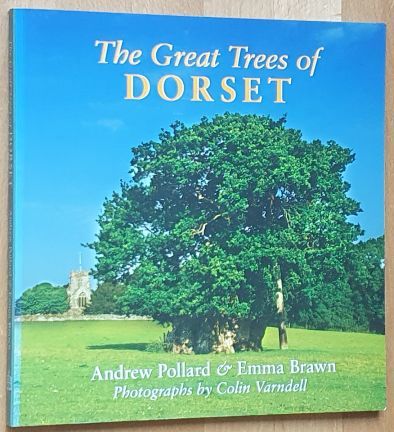 The Great Trees of Dorset