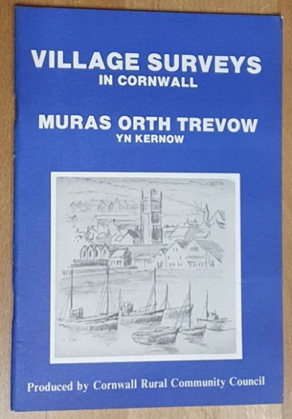 Village Surveys in Cornwall / Muras Orth Trevow yn Kernow