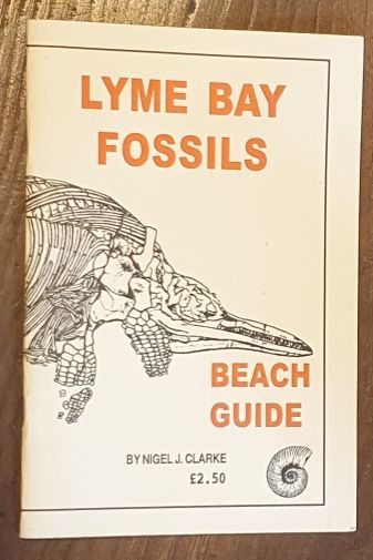 Lyme Bay Fossils Beach Guide