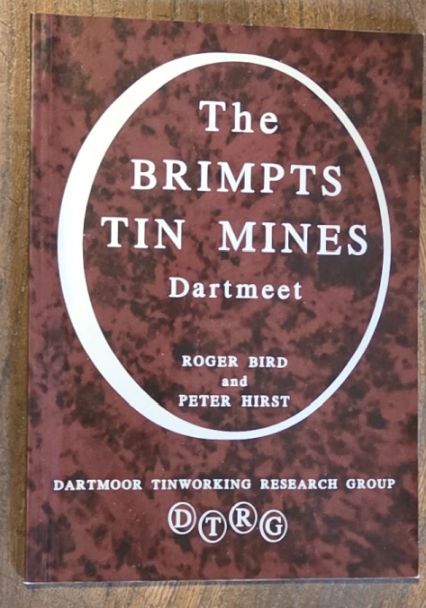 The Brimpts Tin Mines, Dartmeet