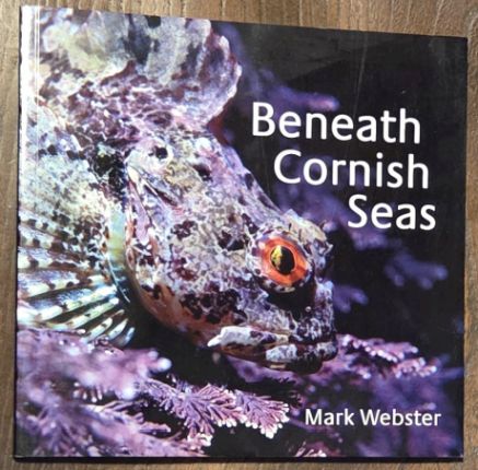 Beneath Cornish Seas
